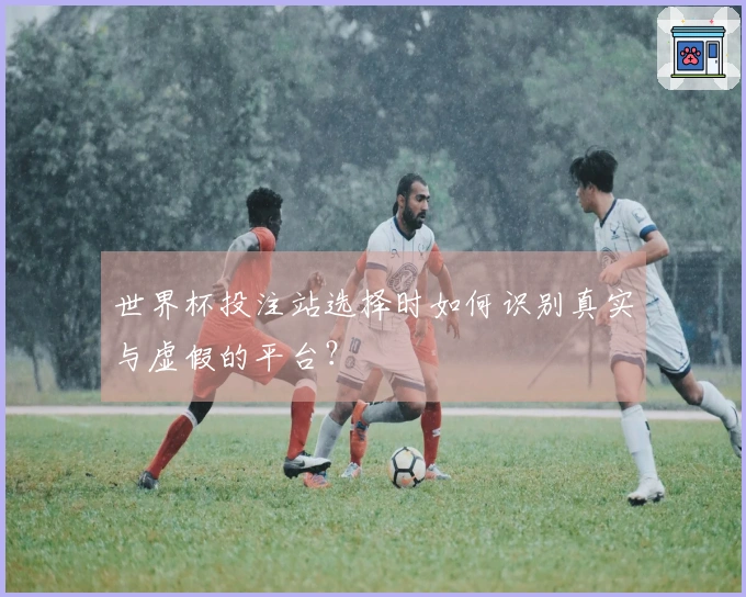 世界杯投注站选择时如何识别真实与虚假的平台？