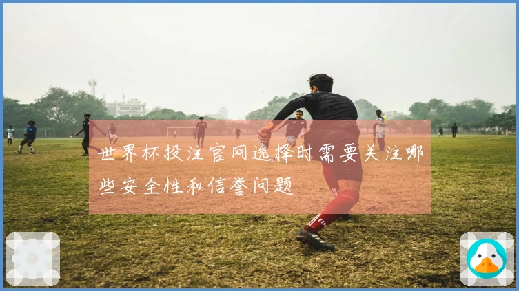 世界杯投注官网选择时需要关注哪些安全性和信誉问题
