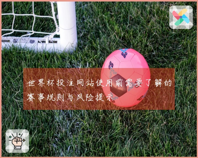 世界杯投注网站使用前需要了解的赛事规则与风险提示