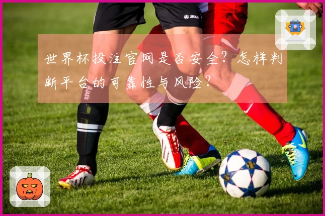 世界杯投注官网是否安全？怎样判断平台的可靠性与风险？