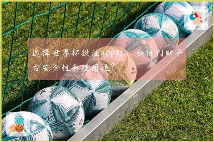 选择世界杯投注app时，如何判断平台安全性和适用性？