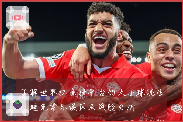 了解世界杯竞猜平台的大小球玩法，避免常见误区及风险分析
